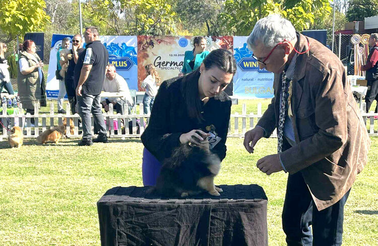 Над 30 померана се борят за трофеите от изложба в Димитровград