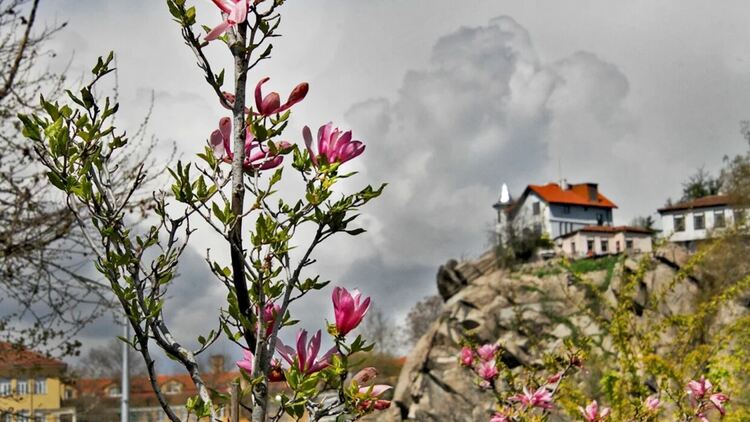 Седмицата започва с предимно облачно време 