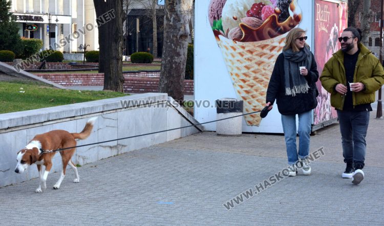 Предимно облачно, но с температури до 19 градуса в понеделник