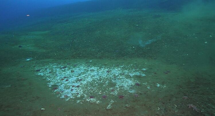  Тревожен сигнал от Антарктида: Океанът изпуска огромни количества метан