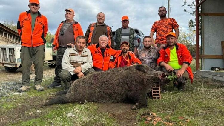 296-килограмов глиган бе повален с един изстрел от младия ловец Дурмушали Ахмед