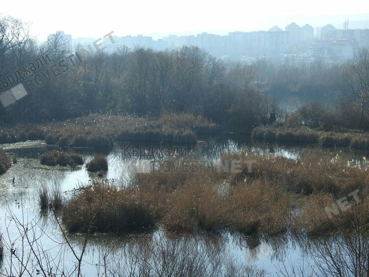 Кърджалиец бедства на изолиран остров в коритото на Арда в Кърджали,спасяват го