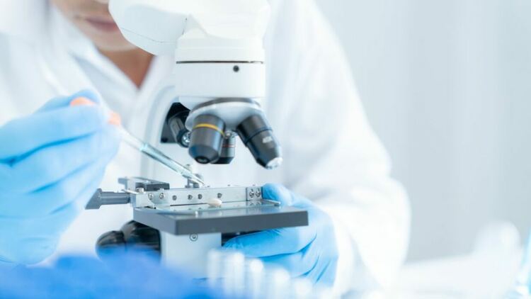 Учени идентифицираха нов клас противостареещи лекарства: ще бъдем ли по-млади по-дълго?