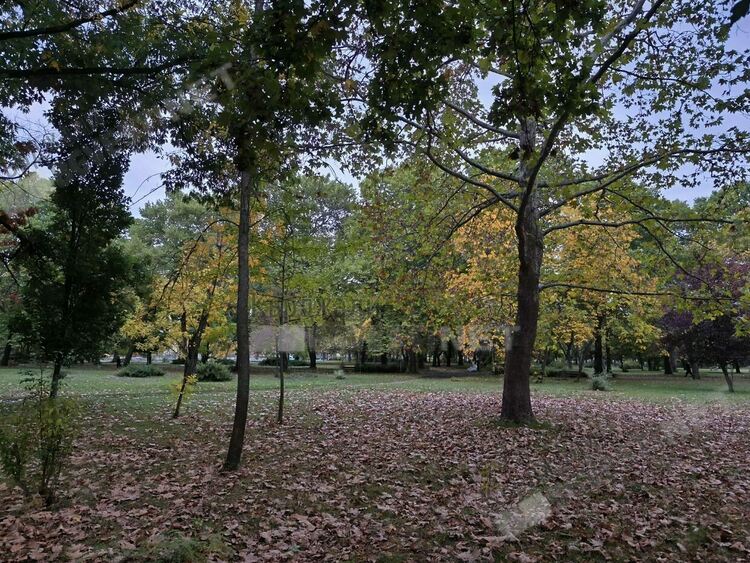   Променлива облачност днес над Кърджали, тихо време