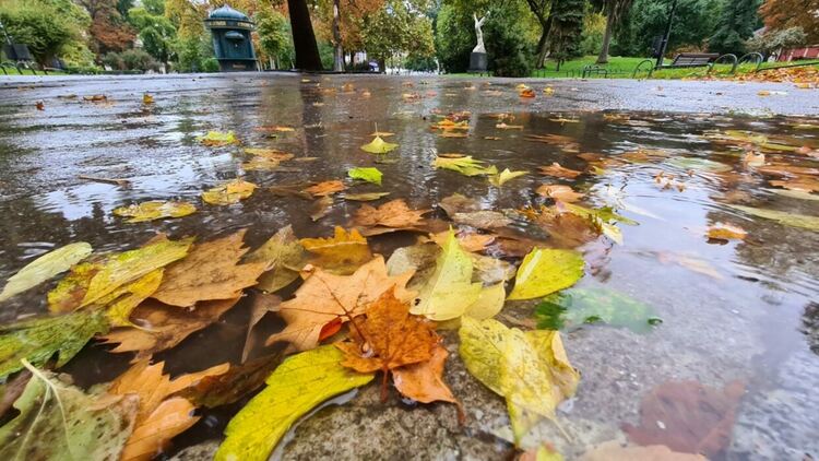 Облачно време в петък, с дъжд на Запад и сняг по високите места