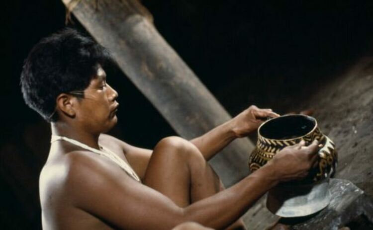 Член на племето Барасана Пасико, шаман, държи съд за ядже (аяхуаска), използван за съхранение на халюциногенен сок от ядже от лианата Banisteriopsis, използван за шамански и религиозни цели.