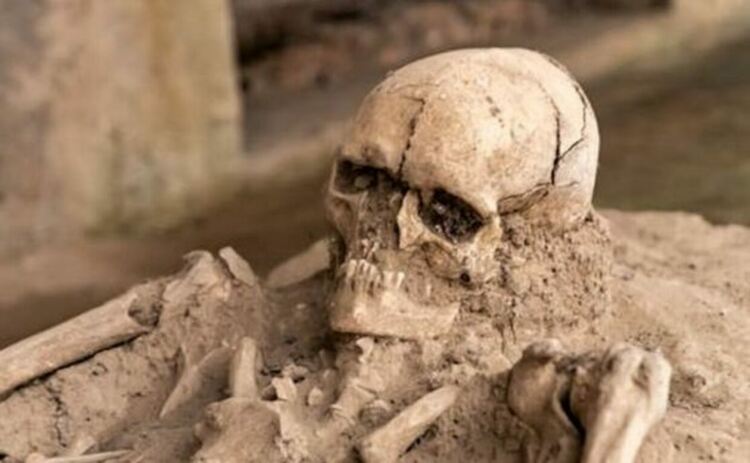 Homo sapiens може да е еволюирал, за да бъде по-толерантен към излагане на олово в сравнение с други хоминиди