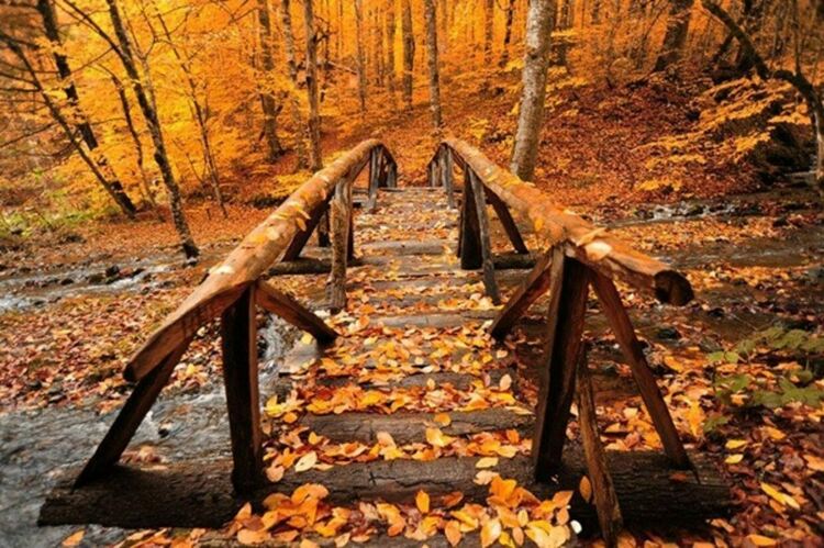 Мъгли сутринта, слънчево през деня