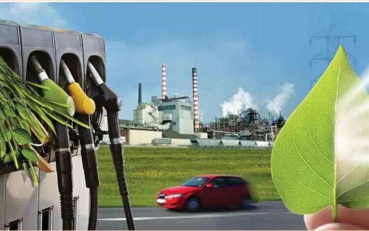 САЩ, Бразилия и ЕС произвеждат 75% от биогоривата, използвани основно в транспортния сектор. 