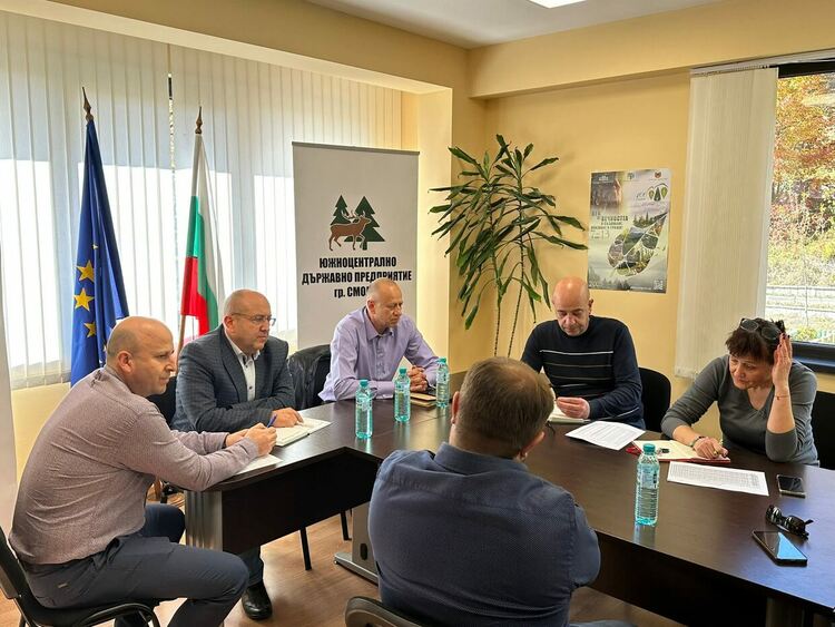 Горският сектор и ЮЦДП обсъждат мерки за стабилизиране на пазара на дървесина