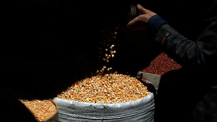 Седем пъти за месец България е свързана с опасни храни