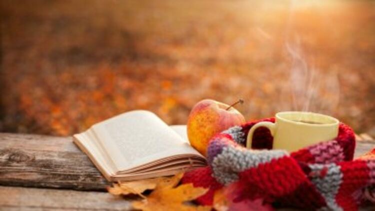 Какво подкрепя имунитета по време на вирусна атака?