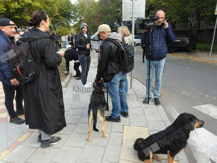 Бездомните кучета на града сред официалните лица в Деня на Кърджали/снимки/