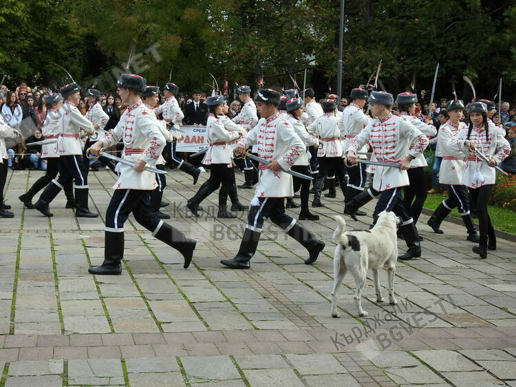 Бездомните кучета на града сред официалните лица в Деня на Кърджали/снимки/