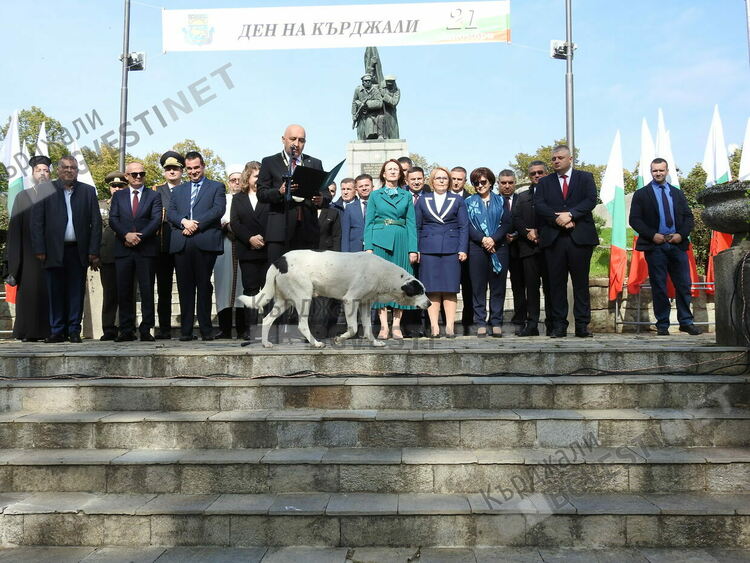 Бездомните кучета на града сред официалните лица в Деня на Кърджали/снимки/