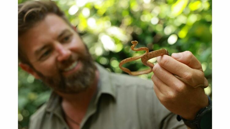 Discovery Channel представя „Животни наркомани“ – шокираща нова поредица за диви животни, попаднали под влияние на човешките зависимости