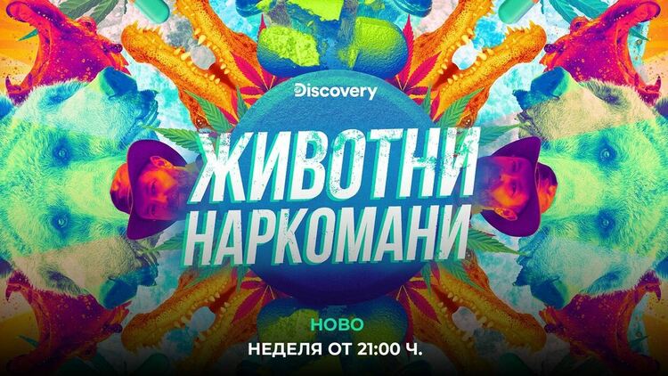 Discovery Channel представя „Животни наркомани“ – шокираща нова поредица за диви животни, попаднали под влияние на човешките зависимости