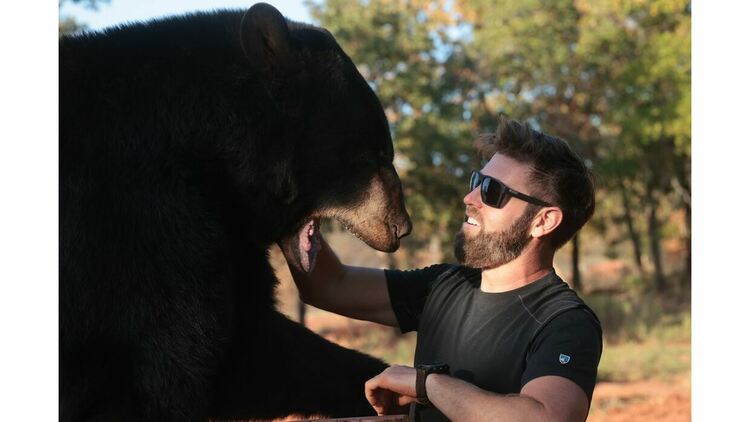 Discovery Channel представя „Животни наркомани“ – шокираща нова поредица за диви животни, попаднали под влияние на човешките зависимости