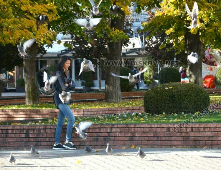 Слънчево и топло – до 23 градуса днес в Хасковска област