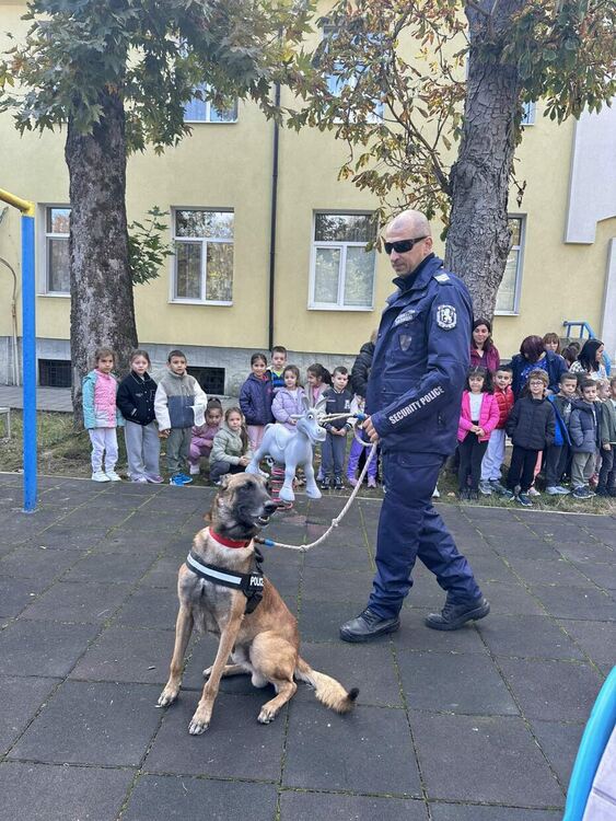 Урок по безопасно движение в градска среда и демонстрация с полицейско куче в детска градина в Кърджали