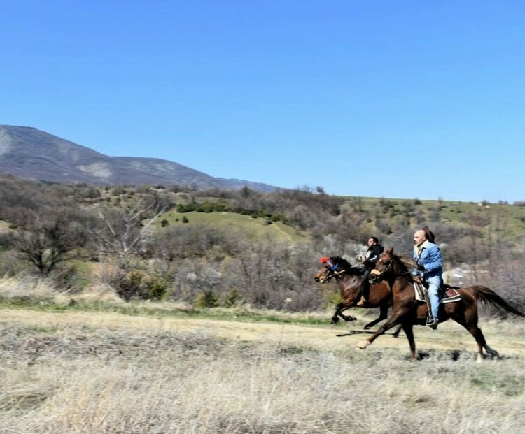 Държавно първенство по конен спорт край Асеновград