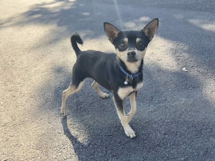 Булгурът се превърна в главен герой на празник в с. Воден 