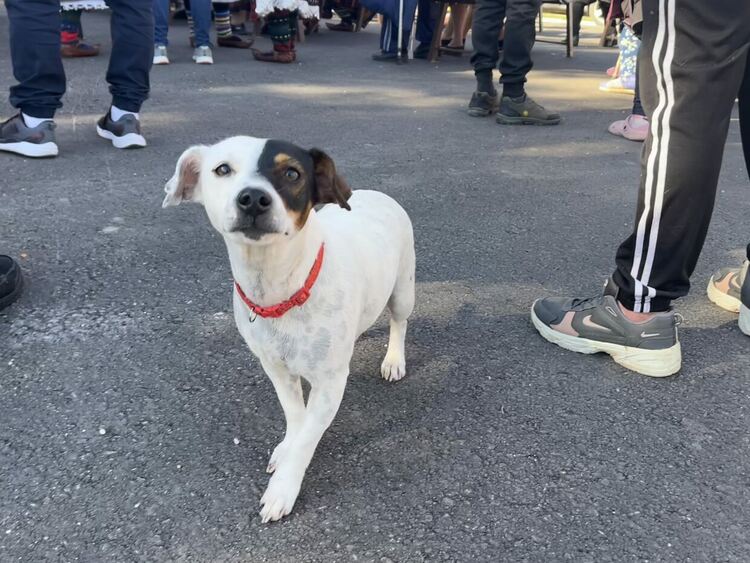 Булгурът се превърна в главен герой на празник в с. Воден 