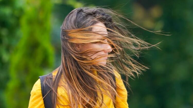 Жълт код за вятър във вторник в почти цялата страна