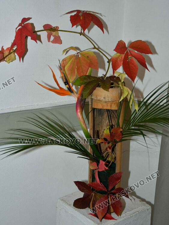 Уникално сватбено кимоно на 101 години е изложено в галерия „Атанас Шаренков“ в Хасково