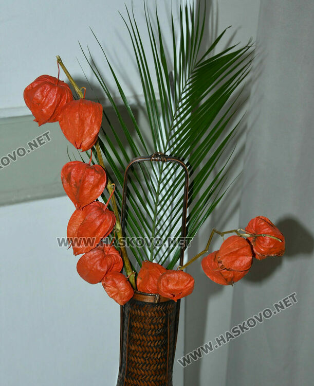 Уникално сватбено кимоно на 101 години е изложено в галерия „Атанас Шаренков“ в Хасково