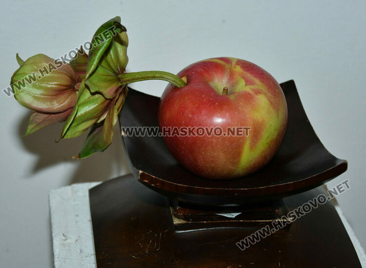 Уникално сватбено кимоно на 101 години е изложено в галерия „Атанас Шаренков“ в Хасково