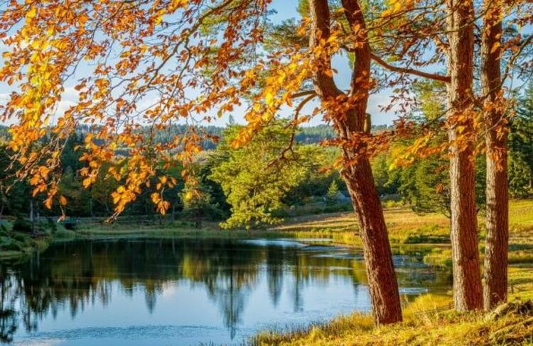 Предимно слънчево и топло в сряда