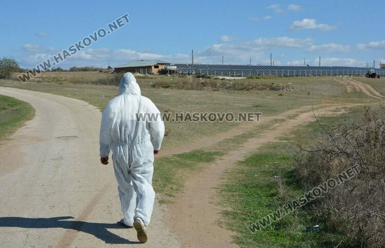 Снимката е илюстративна