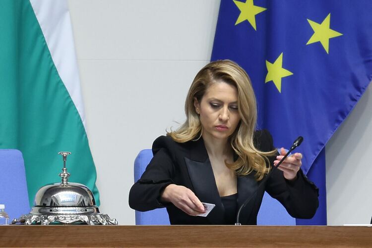 Рая Назарян - председателката, която "не чете, както трябва", а "Магнитски" е донос