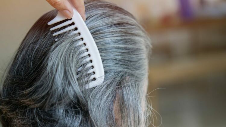 Побеляването на косата може би е защитен механизъм срещу рак