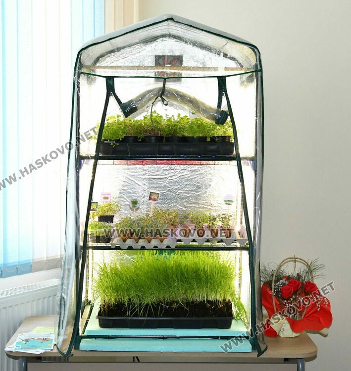 ПГТАТ „Н. Й. Вапцаров“ – Хасково: Иновативни практики, европейски опит и STEM бъдеще