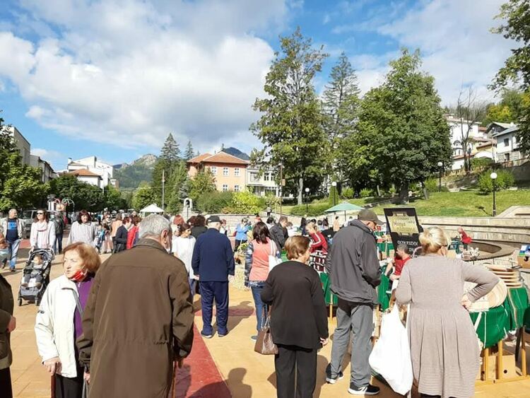 Фермерски пазар стартира днес в Смолян – акцент върху родопските породи и местното производство