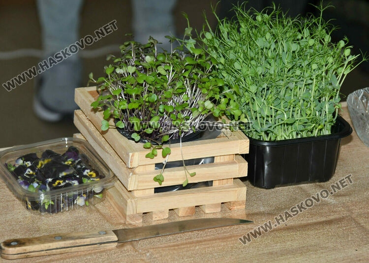 ПГТАТ „Н. Й. Вапцаров“ – Хасково: Иновативни практики, европейски опит и STEM бъдеще