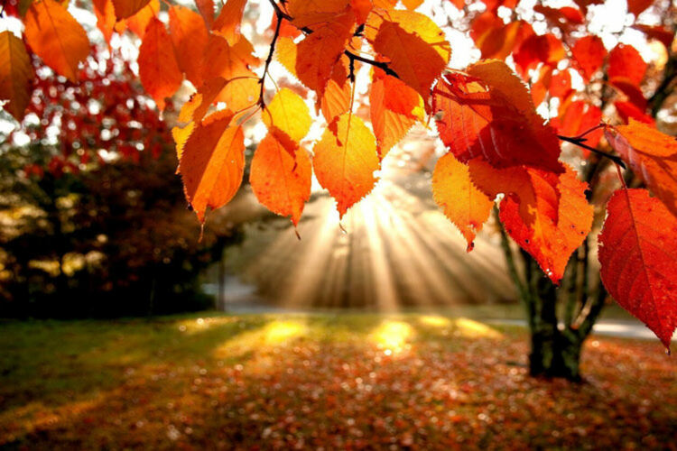 Слънце и облаци се редуват тази неделя 