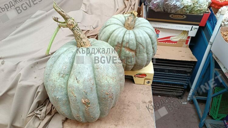 Нулев интерес към тиквите на Пазара за Хелуин,производители се жалят че стоката не върви
