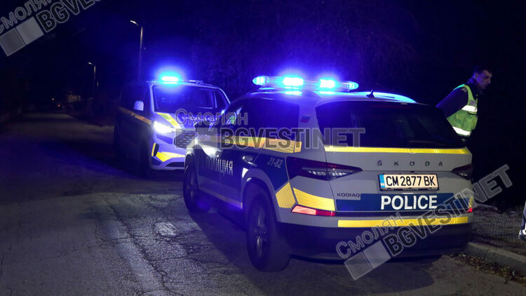 36-годишен мъж загина на място след тежък удар с товарен камион  в село Полковник Серафимово / ОБНОВЕНА/