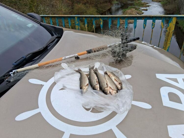 Инспектори от ИАРА заловиха двама нарушители при проверка на река Арда