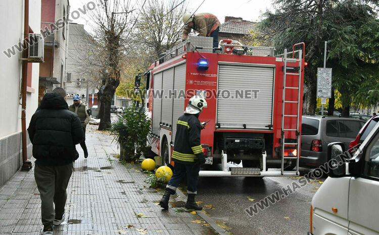 Череша падна върху гараж с простор, по чудо няма пострадали