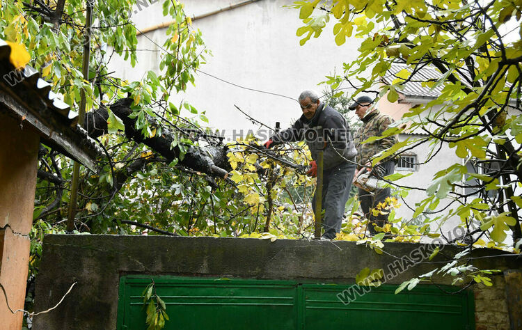 Череша падна върху гараж с простор, по чудо няма пострадали