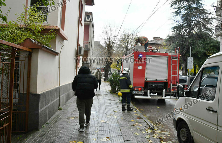 Череша падна върху гараж с простор, по чудо няма пострадали