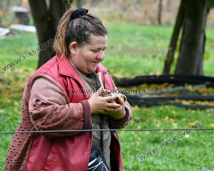 На Свети Мина миряни изпълниха едноименния храм край Димитровград