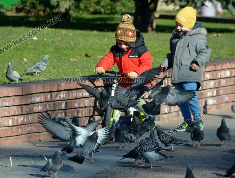 Предимно слънчево време в сряда