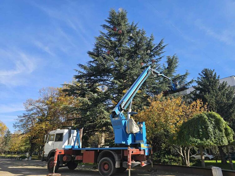 Тече усилена профилактика на Коледното дърво и коледното осветление в Димитровград