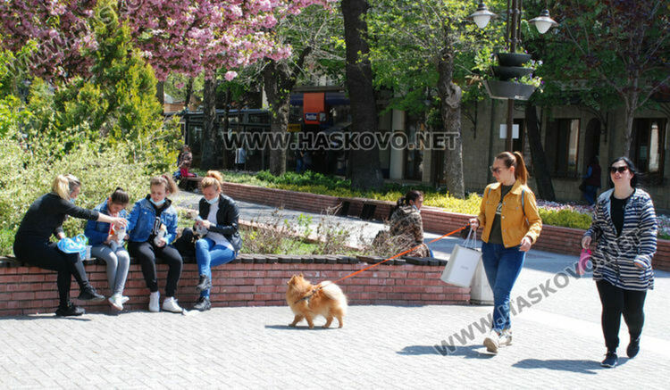 Мъгливо край реките сутрин, слънчево през деня