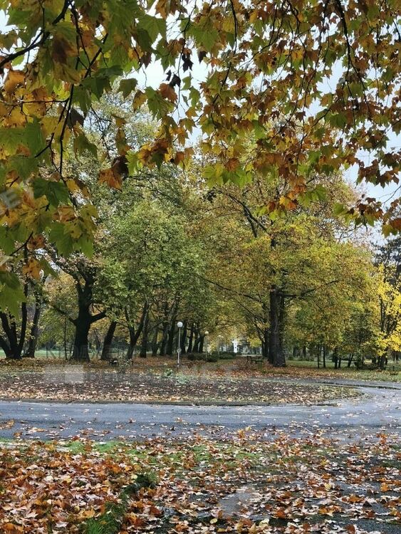 Предимно слънчево и тихо време днес в Кърджали